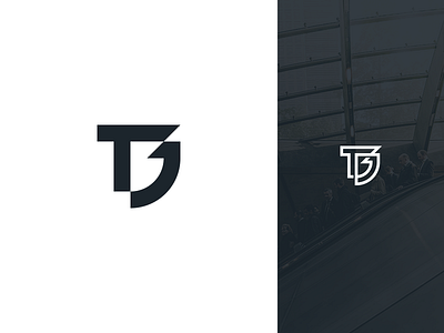 TG branding design letter mark logo monogram tg typography