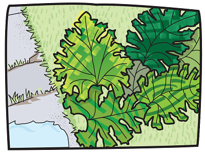 Leafy Plants Sketch illustration illustrator landscape lines patterns pittsburgh plants sketching textures trees vectors
