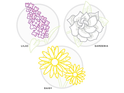 Morning Sketching - Flowers daisies flowers illustrator lines mornings pixelation plants sketching textures vector
