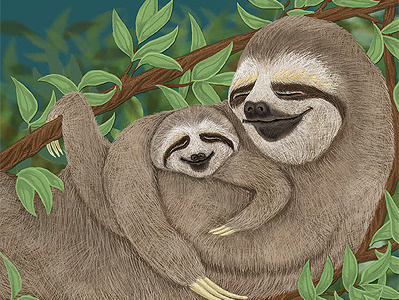 Sloth_Roberta Baird animal baird childrens book digital illustration roberta