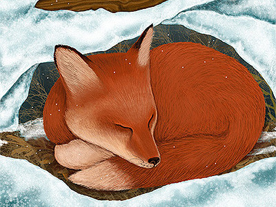 Snow Fox Roberta Baird animal childrens book digital illustration fox illustration roberta baird