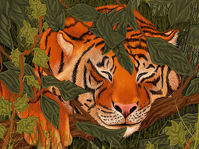 Tiger_Roberta Baird animal childrens book digital illustration illustration roberta baird tiger