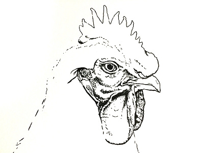 Chicken Illustration - WIP