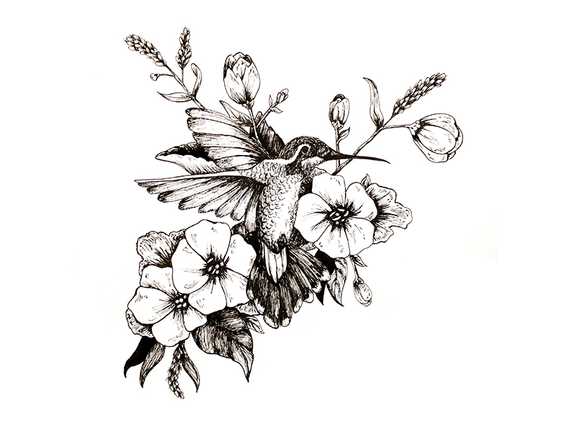 nectar Hummingbird Illustration by Erin Kennedy for nectar ICC on Dribbble