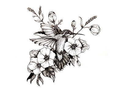 nectar Hummingbird Illustration