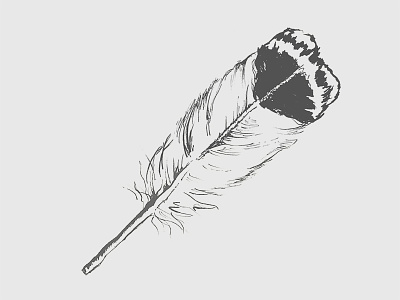 Feather Drawing black drawing feather pencil sharpie