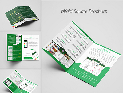 Bifold brochure design (app intro) ads application branding brochure design flyer graphic design