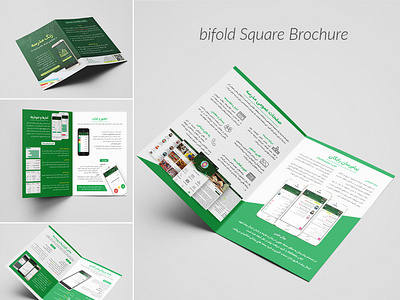 Bifold brochure design (app intro)