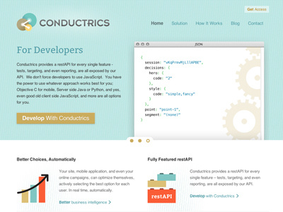 Conductrics Responsive Launch branding css html illustration responsive simple ui ux website