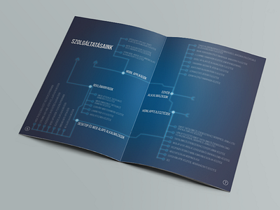 IT services brochure double page, more in the description