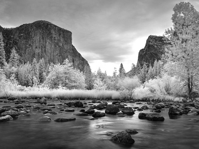 Yosemite Infrared Creek creative commons creek image infrared photo photocrops photography yosemite
