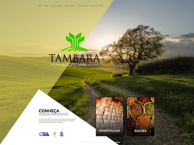 Tambará Agropecuária agriculture institutional website simple