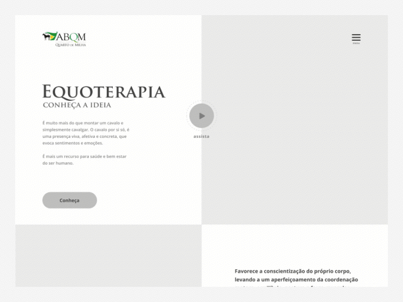 Wireframe - Equoterapia clean concept split screen website wireframe