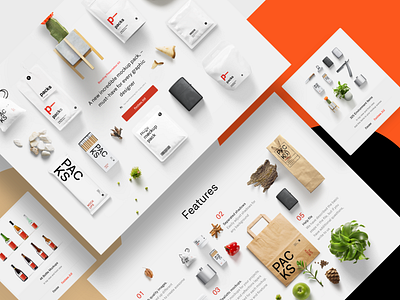 Branding Presentation Kit