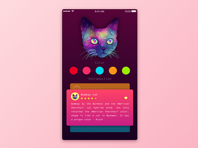 I fell in love with the cat app ui