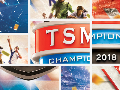 TSMNI Championship 2018 | Details