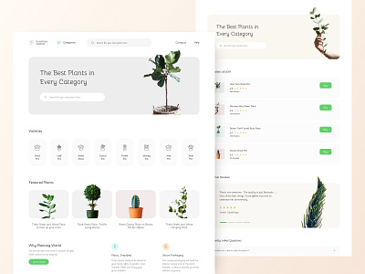 Plants landing page branding design designer desktop illustration inspiration typography ui uitrends vector web