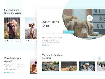 Dog Adoption Page blue branding design desktop dogs gradient pictures ui vector web