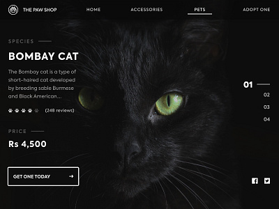 Pets Detail Page adobe black cats design designer gradient mumbai ui web