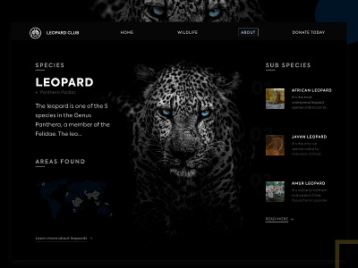 A Leopard Information page