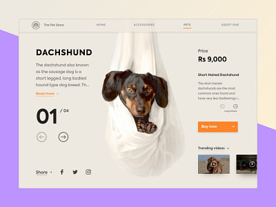Dachshund- The Hotdog adobe dachshund design designer dogs editing mumbai purple ui web wildlife