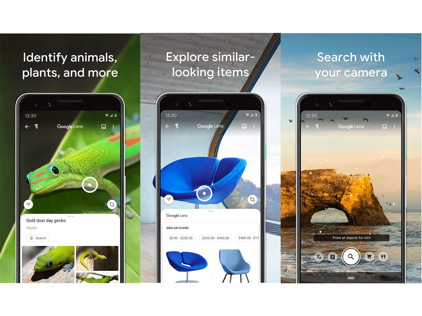 Google Lens UI by Sheba Tamakloe on Dribbble