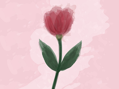 Watercolor tulip onn the light rose background