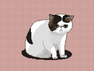 Pixel Art Cat cat pixelart