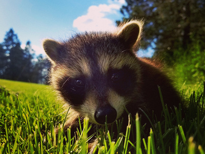 Youthful Curiosity