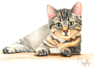 Color pencil kitten portrait