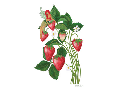 Strawberry faerie