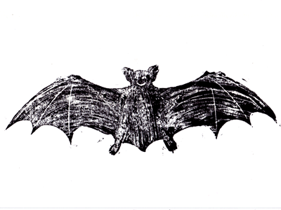 Happy Bat Textures bat lino texture