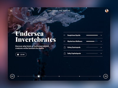 Undersea Invertebrates concept lesson ui ux web