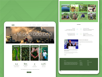 Website Design | Net Zero World | Business Website