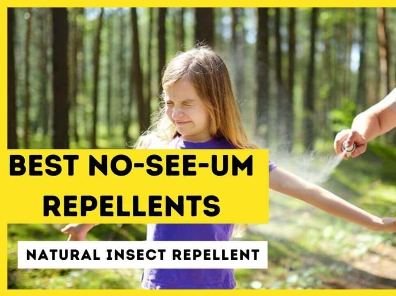 How To Get Rid Of No See Ums Top No See Um Repellents In By Rasoop On Dribbble