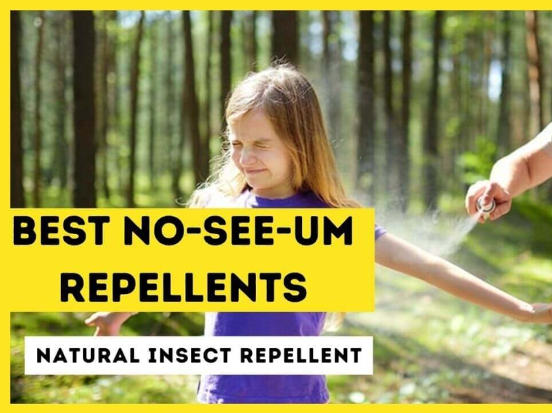 How To Repel No See Ums