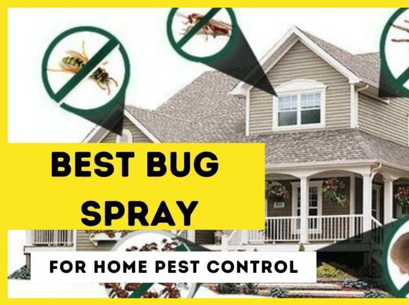 best-home-defense-bug-spray-for-pest-control-a-to-z-guide-by-rasoop