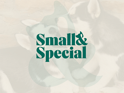 Logo Design | Small&Special Dog icon ampersand branding design dog graphic design icon illustration logo logo design ui ux vector