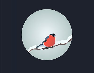 Bullfinch design illustration web