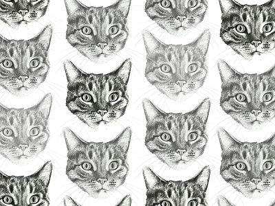 Cat garden cat drawing illustration pencil print design