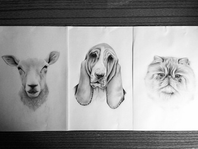 Animal friends cat dog drawing illustration pencil sheep wip