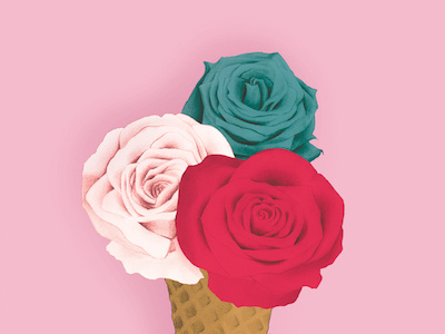 Rose Cone drawing flower ice cream illustration mixed media pencil rose