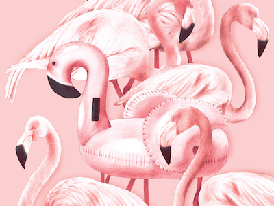 All Equal bird drawing flamingo illustration mixed media pencil pool toy