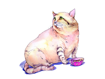 Kitty aksinja la paloma cat illustration kitty pet sketch watercolor