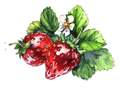 Strawberry