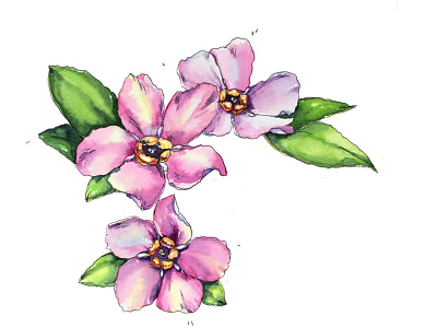 Spring mood is on =) aksinja la paloma flower illustration sketch watercolor