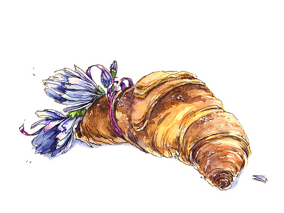Сroissant aksinja la paloma croissant food illustration sketch watercolor