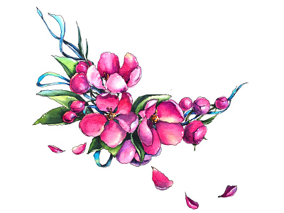 Apple blossoms aksinja la paloma apple blossoms illustration painting sketch watercolor