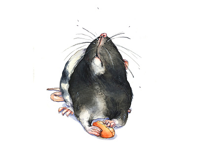 Rat aksinja la paloma illustration painting rat sketch watercolor
