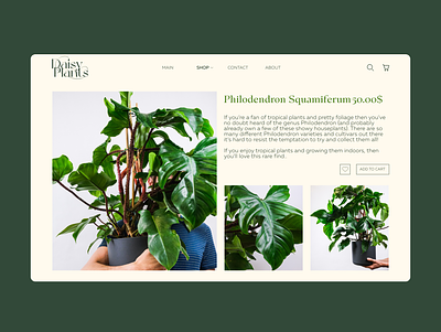 DAISY PLANTS. Product buisness design green nature online store plants product shop store ui ux web design website